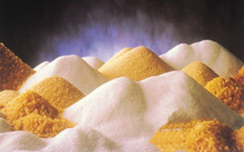 sucre