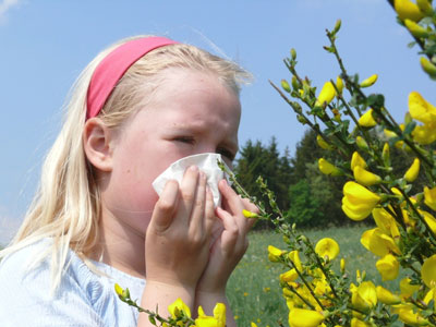 allergie